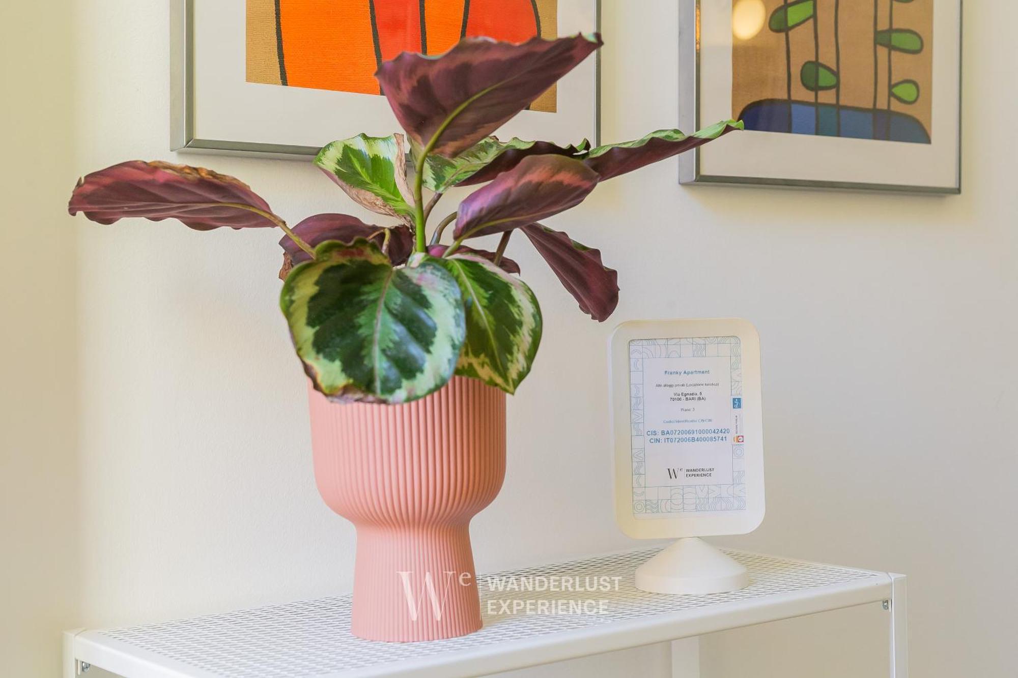 Wanderlust Experience Frankly Apartment Bari Buitenkant foto